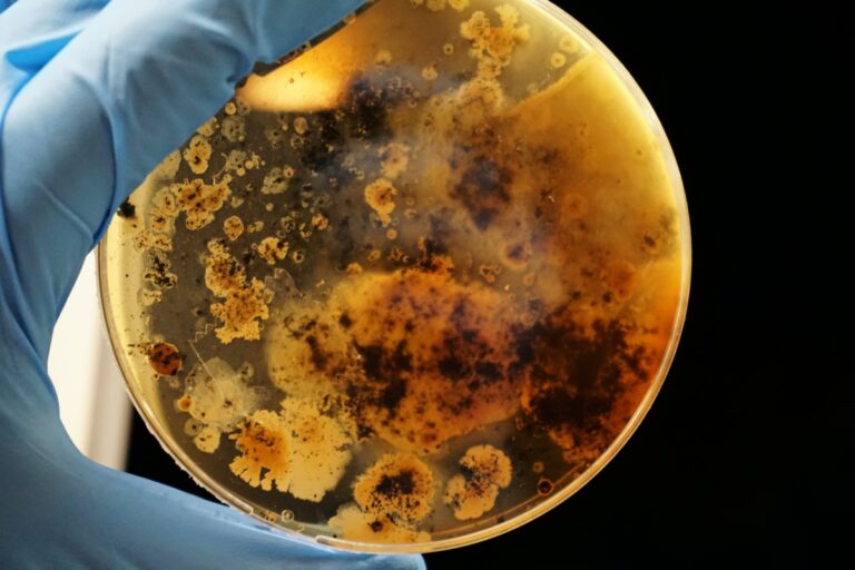 The Uncharted World of Emerging Pathogens | bioethics.com