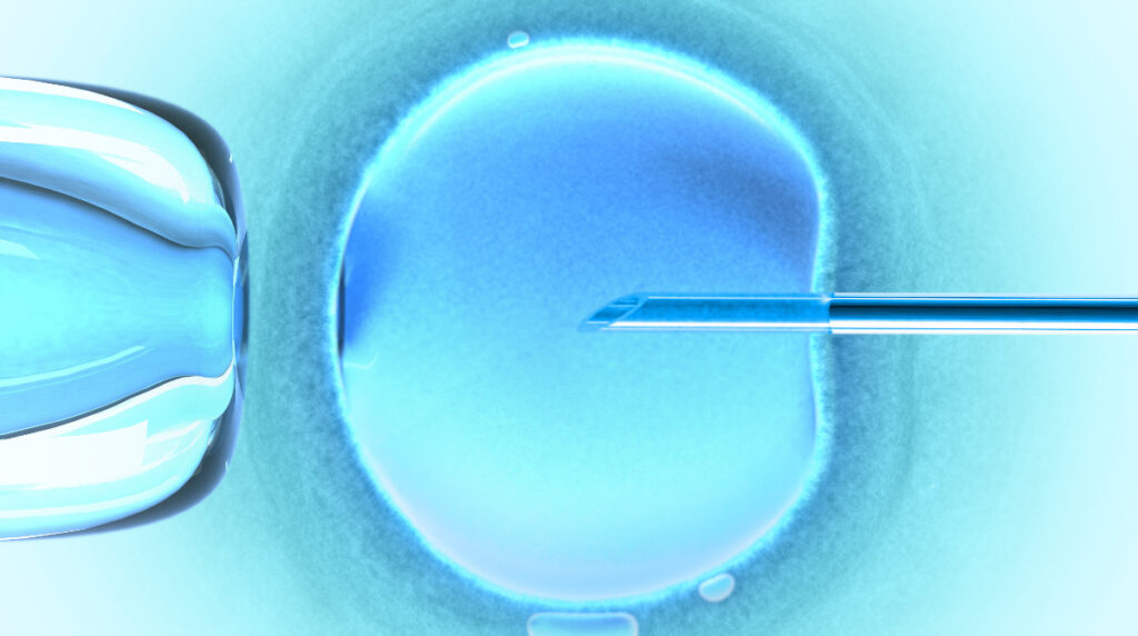 image of an oocyte being fertilized with a needle