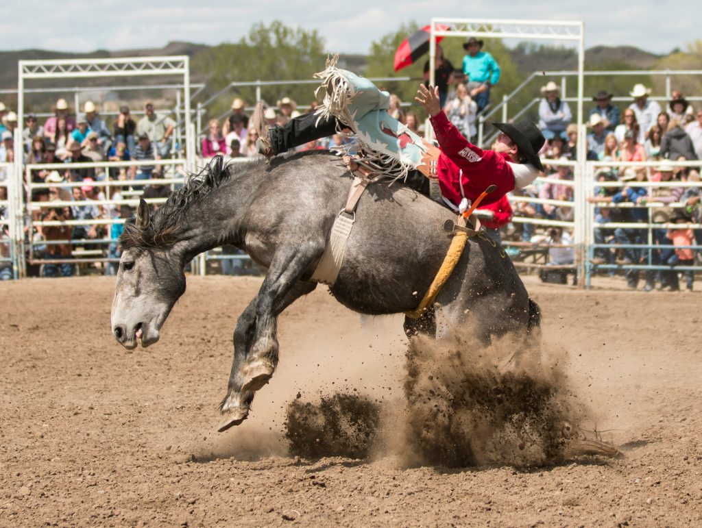 Cowboy riding a horse at a rodeo