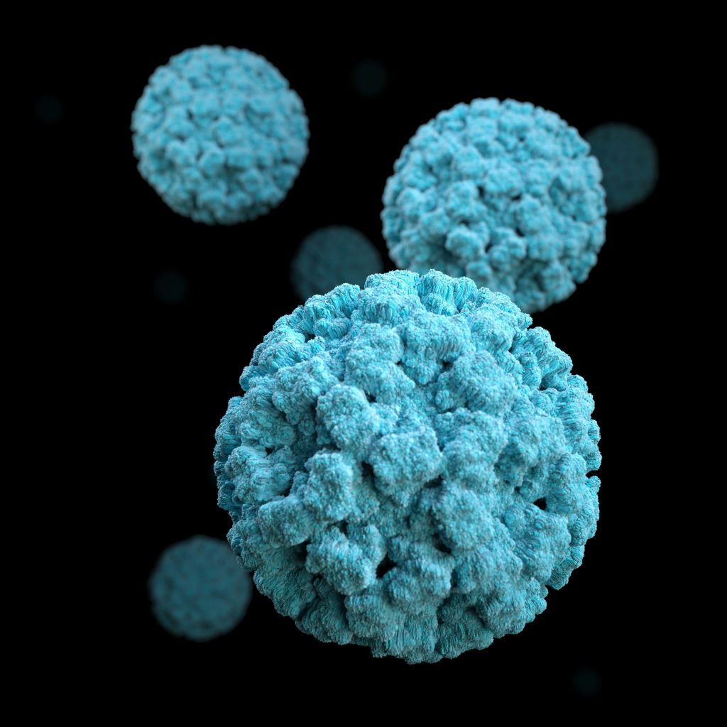 Electron micrograph of a norovirus